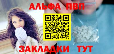 ешки Кингисепп