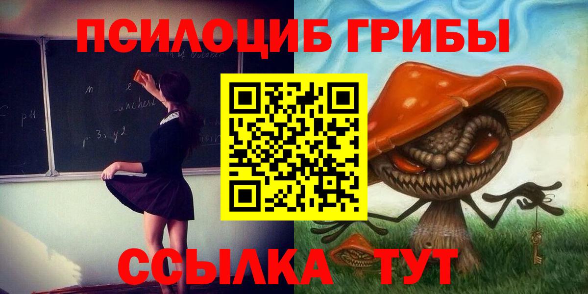 Костомукша  Псилоцибиновые грибы Psilocybine cubensis  Вход с VPN 